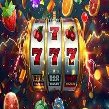 955bet