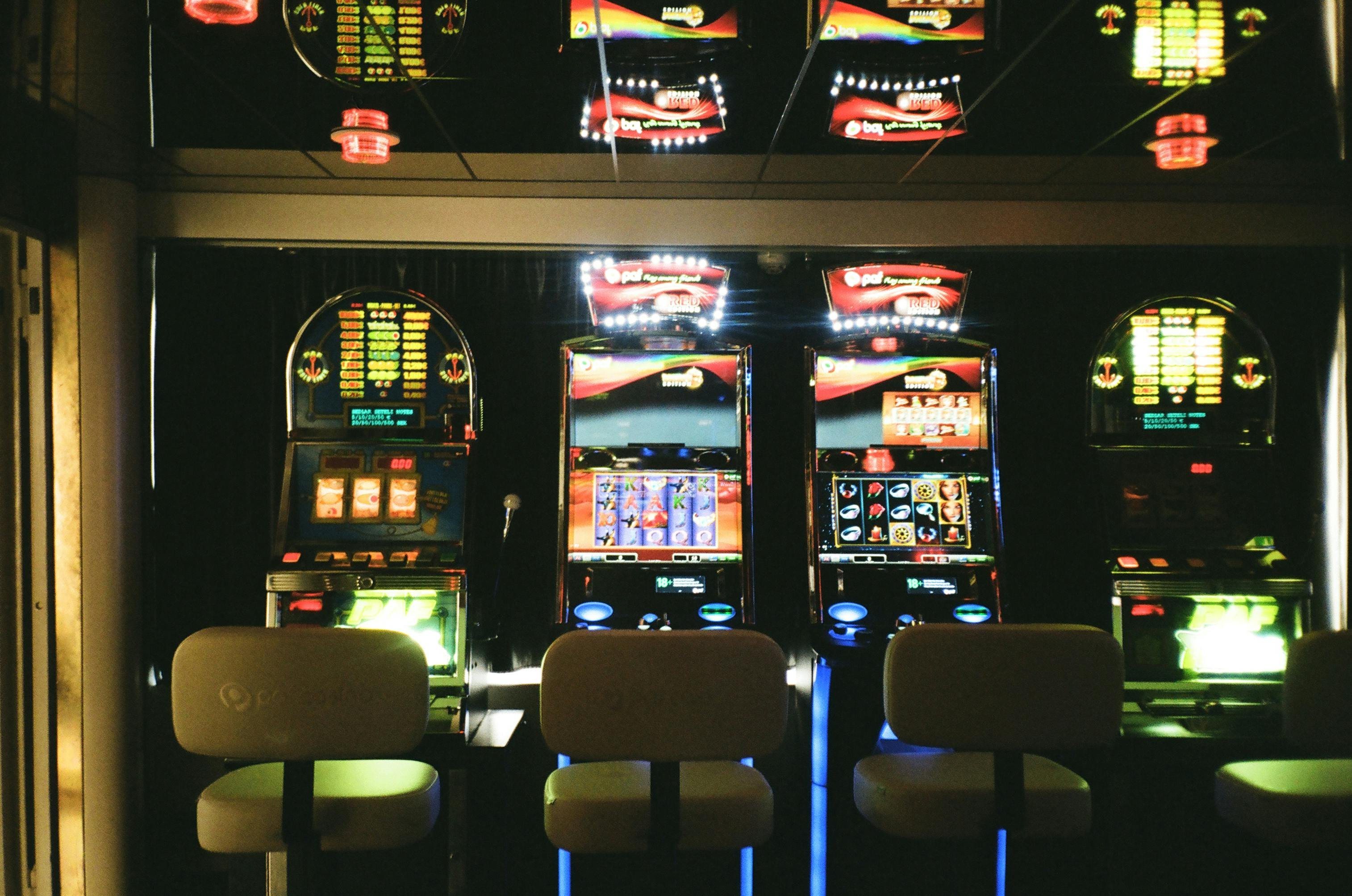955bet